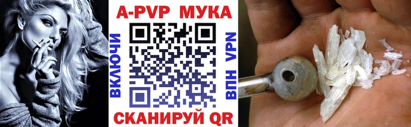 Купить закладки  Михайловск  Alfa_PVP крисы CK 