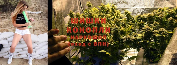 гашиш Дмитриев