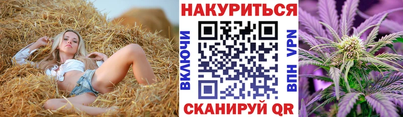 Каннабис AK-47  Купить закладки  Михайловск 